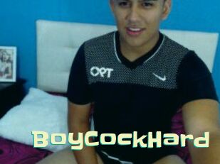 BoyCockHard Wanna Meet
