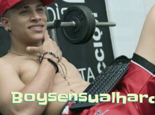 Boysensualhard