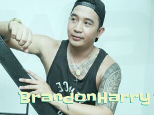 BrandonHarry Wanna Meet