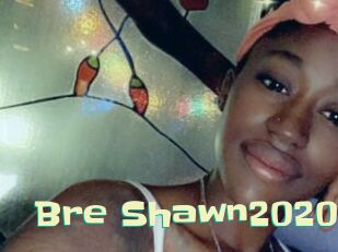 Bre_Shawn2020