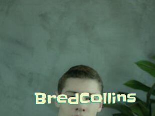 BredCollins Wanna Meet