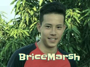 BriceMarsh