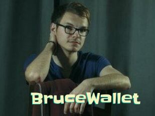 BruceWallet