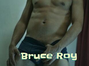 Bruce_Roy Wanna Meet