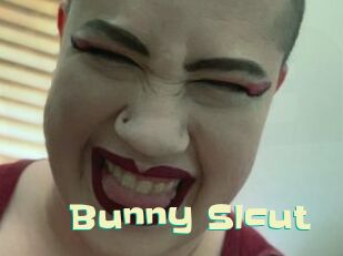 Bunny_Slcut