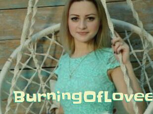 BurningOfLovee