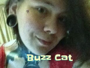Buzz_Cat