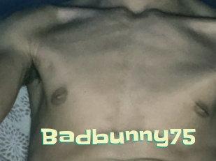 Badbunny75