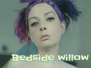 Bedside_willow