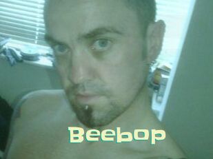 beebop Wanna Meet