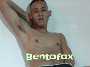 bentofox Wanna Meet