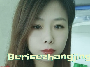 Bericezhangjing