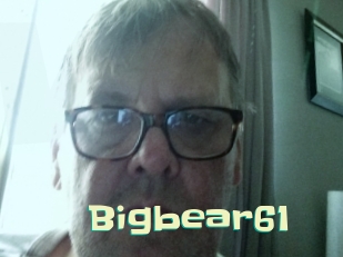 Bigbear61