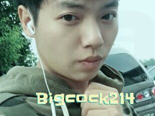 Bigcock214