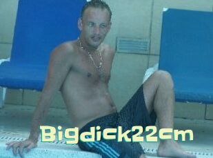 Bigdick22cm