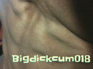 Bigdickcum018