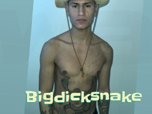 Bigdicksnake