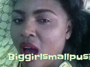 Biggirlsmallpusi