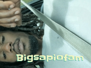 Bigsapiofam