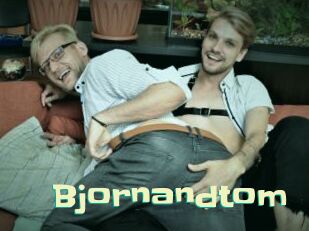 bjornandtom Wanna Meet