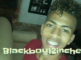 Blackboy12inches