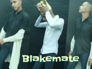 blakemate Wanna Meet