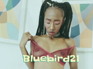 bluebird21 Wanna Meet