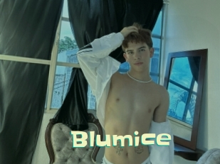 Blumice