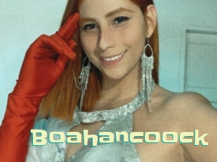 boahancoock Wanna Meet