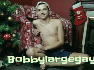Bobbylargegay