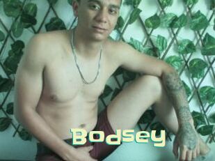 Bodsey