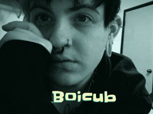 Boicub