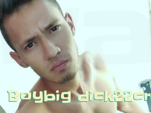 Boybig_dick22cm