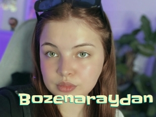 Bozenaraydan