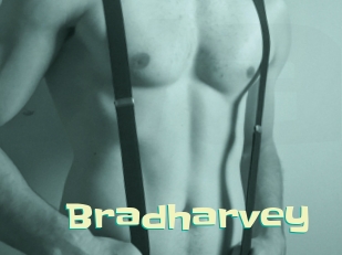 Bradharvey