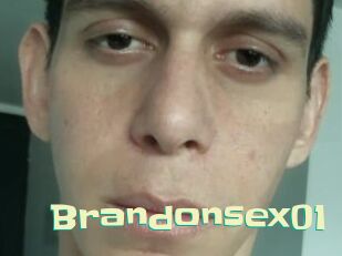 Brandonsex01