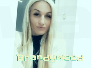 Brandyweed