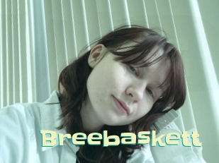 Breebaskett
