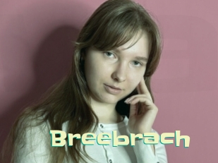 Breebrach
