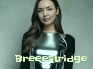 Breeestridge