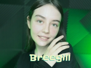 Breegill