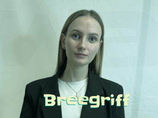 Breegriff