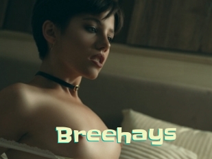 Breehays