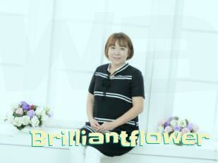 Brilliantflower