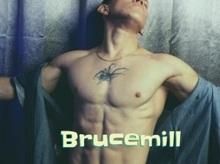 Brucemill