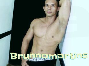 Brunnomartins