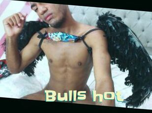 Bulls_hot