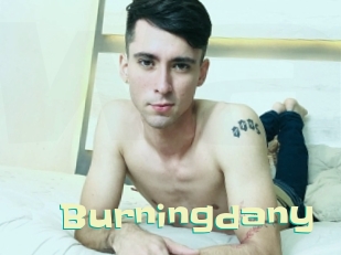 Burningdany