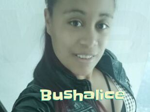 Bushalice