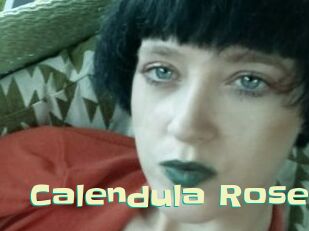 Calendula_Rose